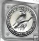 Monedas - Oceania - Australia - - 1995 - dolar - kookaburra - plata